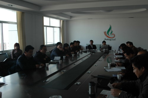 公司黨委召開黨委擴大會，部署安排學習貫徹十七大精神