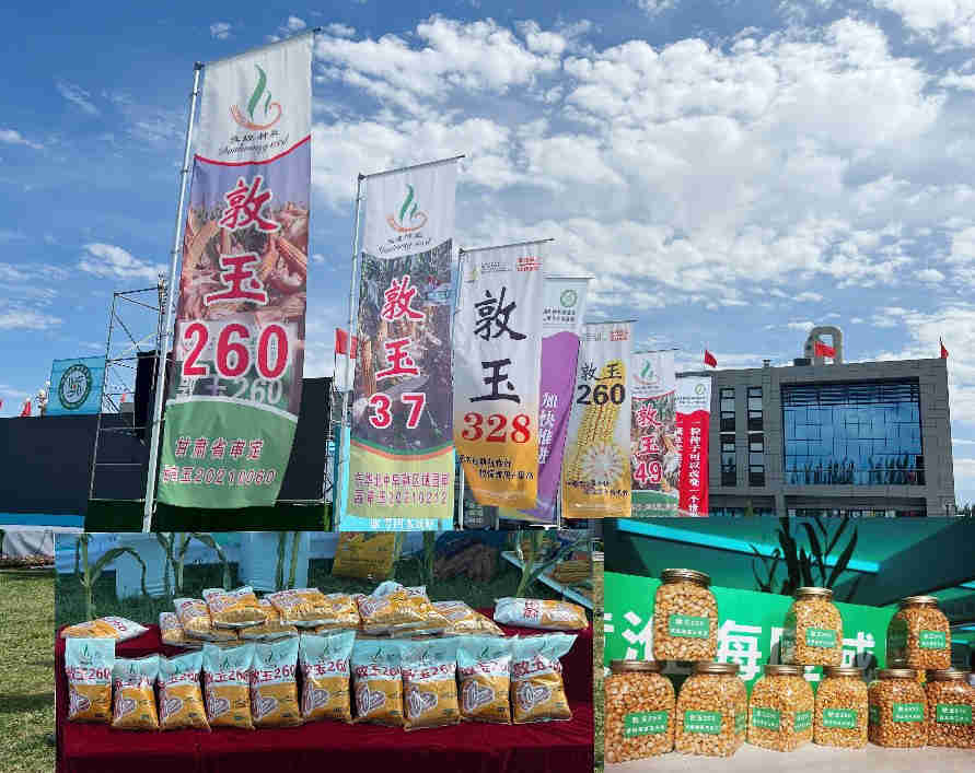 公司一批產品參展第五屆酒泉現代種業博覽會暨第二屆花卉博覽會 受到各方客戶青睞