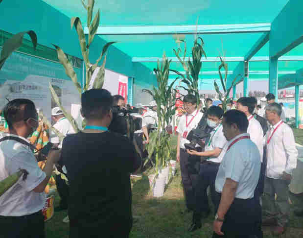 公司一批產品參展第五屆酒泉現代種業博覽會暨第二屆花卉博覽會 受到各方客戶青睞