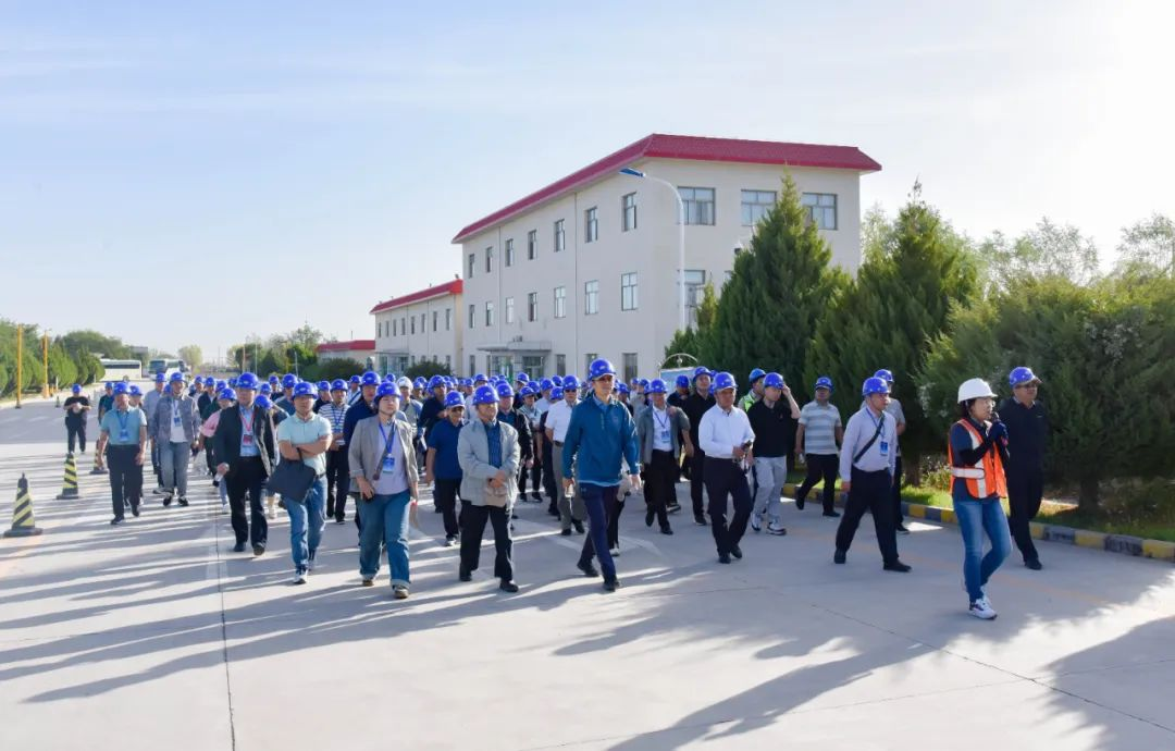 敦煌種業召開2023年全國玉米遺傳育種學術研討會田間觀摩會